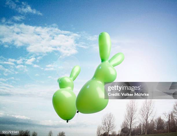 Balloon Shaping Rabbit 470 Rabbit Shaped Stock Photos, High-Res Pictures, and Images - Getty ...