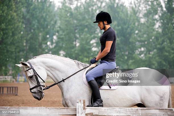 young man riding a horse - 馬の衣装 ストックフォトと画像