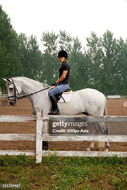 young horseman with horse - 馬の衣装 ストックフォトと画像