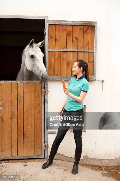 young woman with a horse - 馬の衣装 ストックフォトと画像