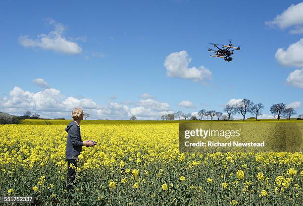 drone pilot flying over rapeseed field - create and cultivate stock-fotos und bilder