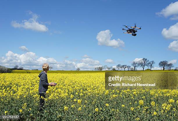 drone pilot flying over rapeseed field - drone agriculture foto e immagini stock