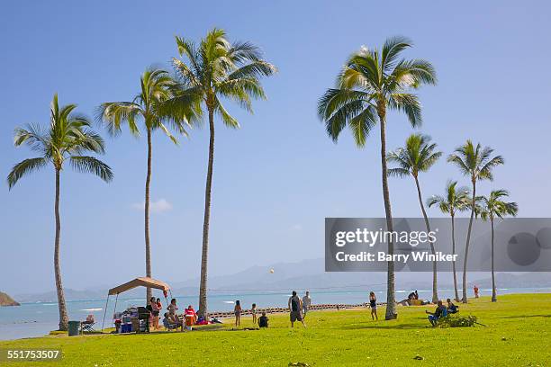 volleyball at kualoa, oahu, hawaii - クアロア公園 ストックフォトと画像