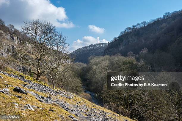 chee dale, peak district, derbyshire - peak district national park spring stock pictures, royalty-free photos & images