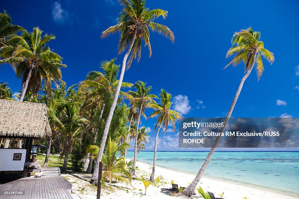 Beach with beach hut and palm trees, Aitutaki, Cook Islands
