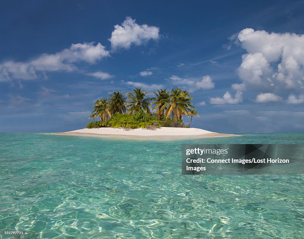 Ari atoll, Indian Ocean, Maldives