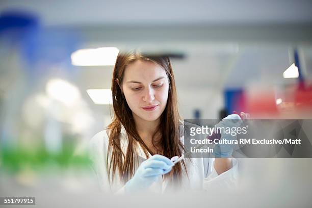 female science student pipetting in laboratory - women in stem stock-fotos und bilder