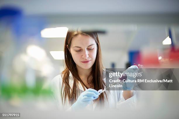 female science student pipetting in laboratory - research scientist stock pictures, royalty-free photos & images