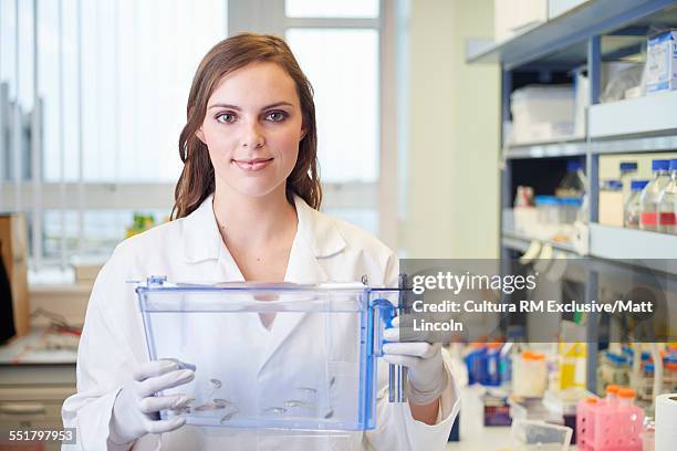 female science student holding tank of zebrafish in laboratory - zebrafish ストックフォトと画像