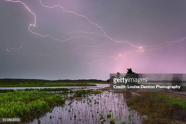 fogg dam lightning - territorio del nord foto e immagini stock