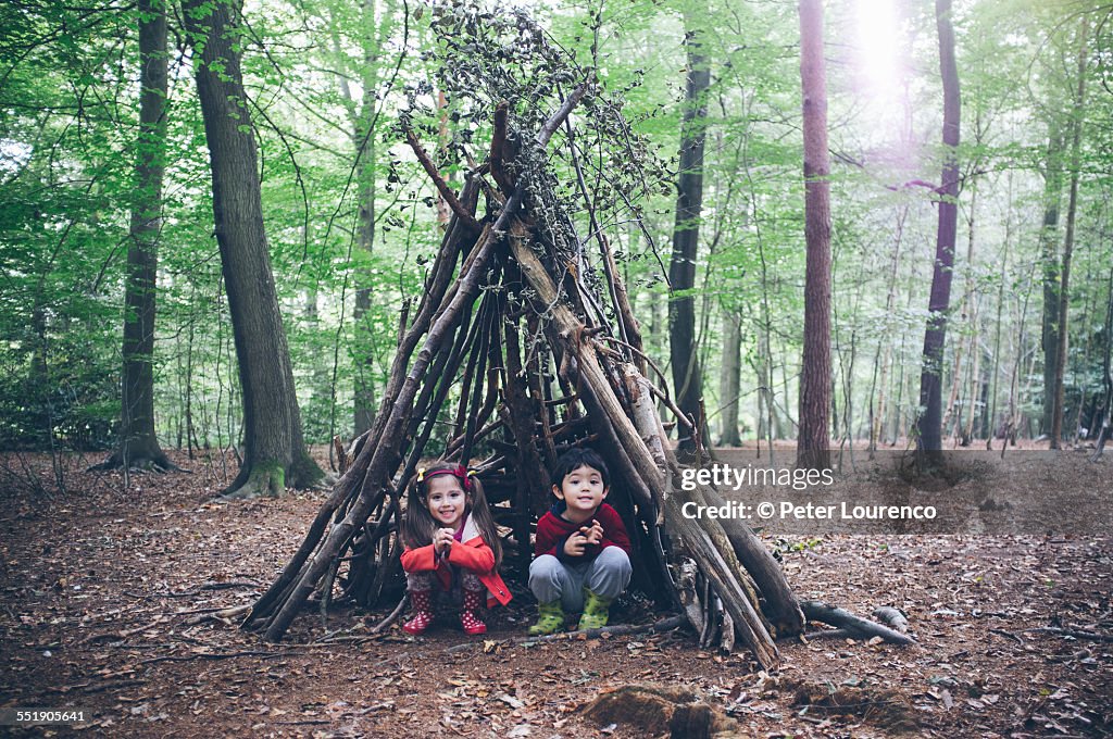 Forest hut