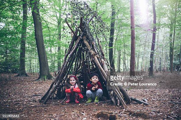 forest hut - hut stock pictures, royalty-free photos & images