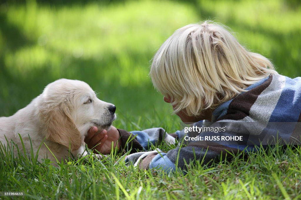 Boy stroking Golden Retriever puppy on grass