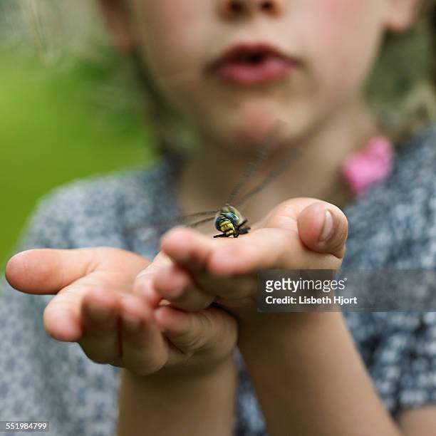 Girl with dragonfly on palm
