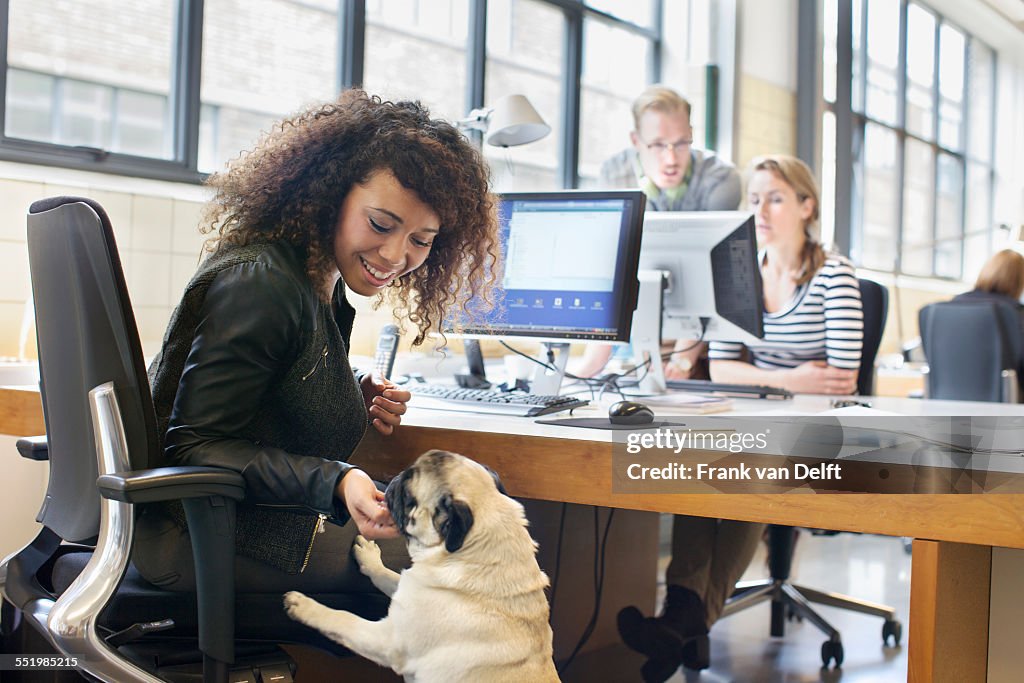 Young woman petting dog at office desk