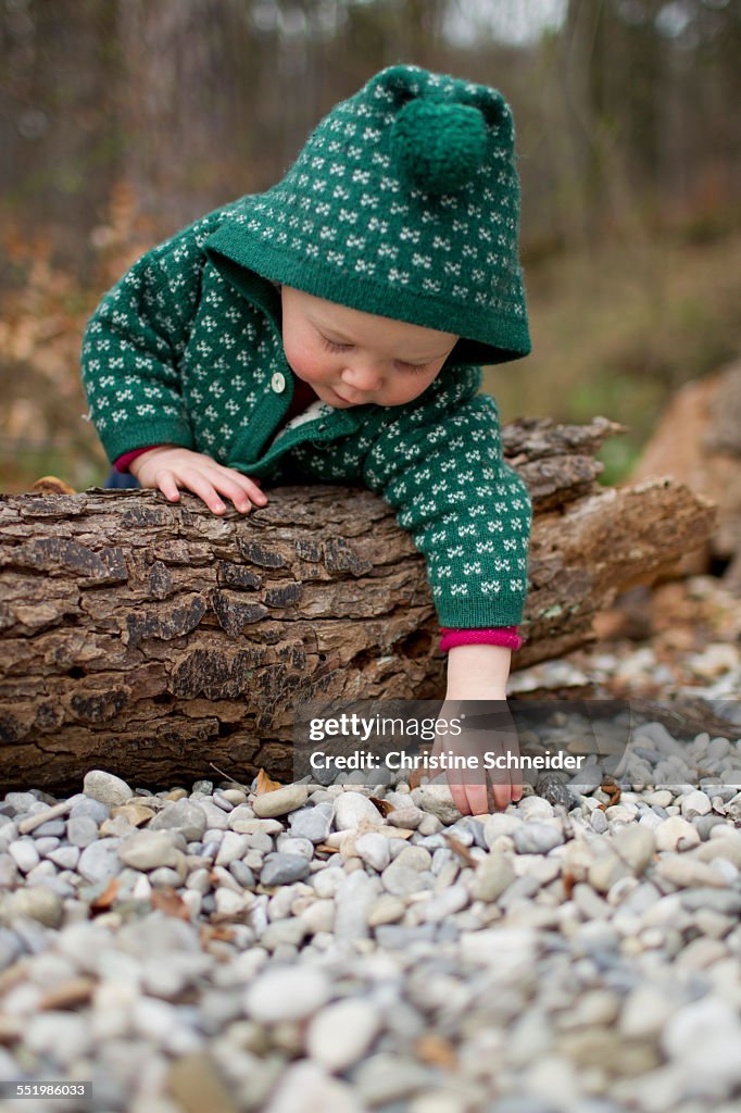 Baby girl leaning over tree trunk and touching pebbles