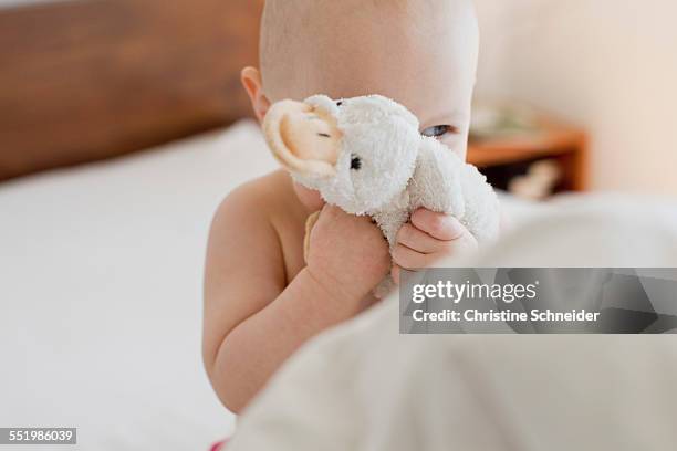 baby girl sitting up in bed hiding behind soft toy - baby stuffed animal bildbanksfoton och bilder