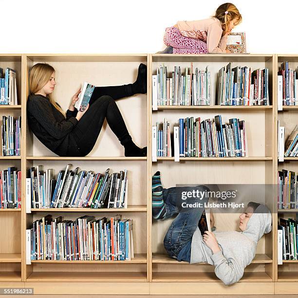 siblings reading on book shelf - girls in tight t shirts stock pictures, royalty-free photos & images