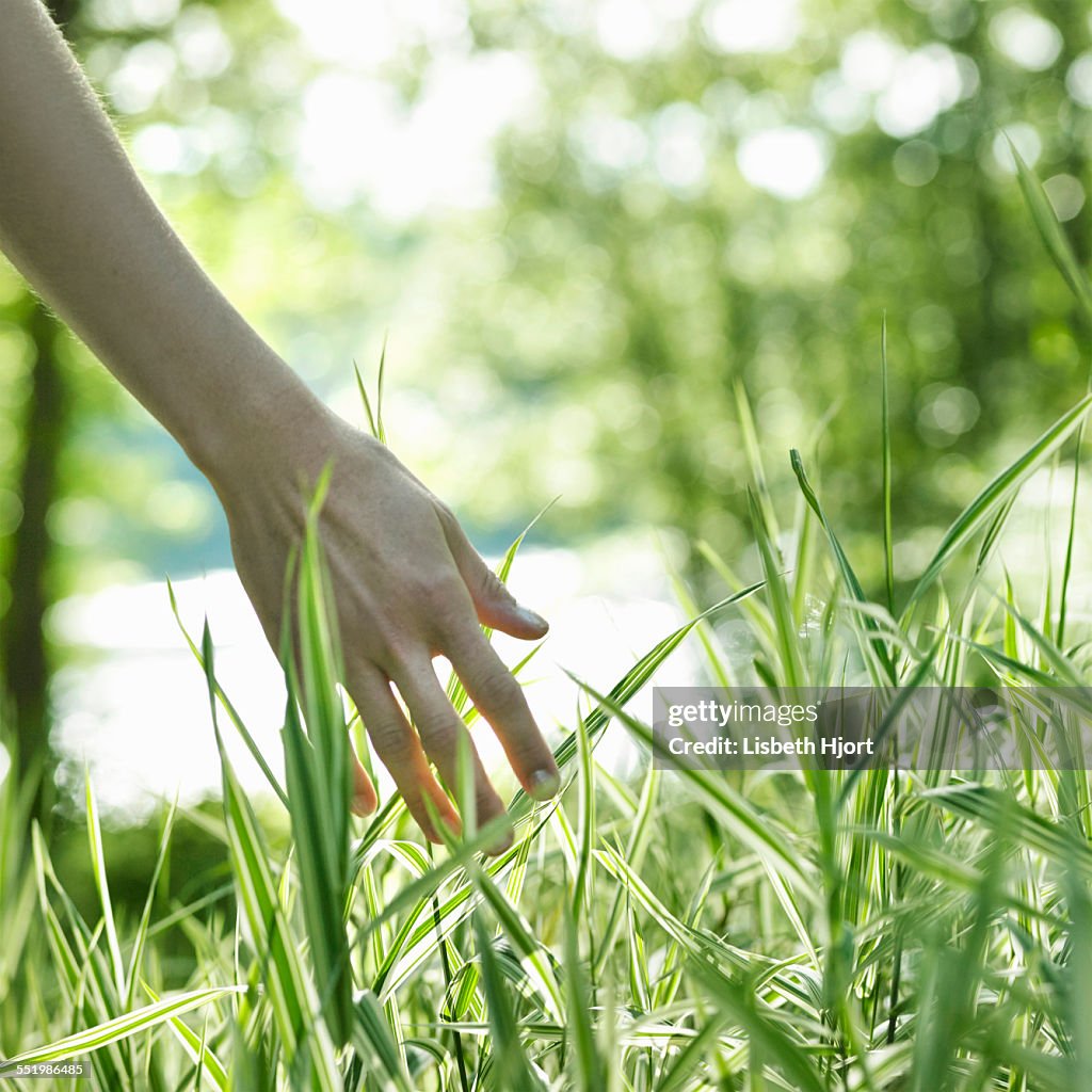 Person touching grass