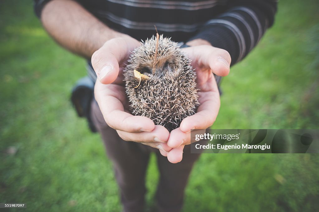 Man holding hedgehog