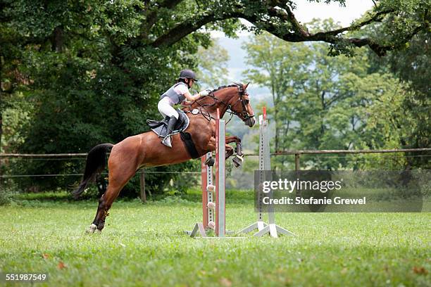 horse and rider show jumping - fairness stock-fotos und bilder