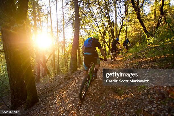 a small group riding bikes through california - scott wood stock pictures, royalty-free photos & images