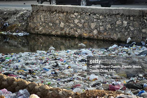 trash pile in an egyptian canal - damlo does stock pictures, royalty-free photos & images