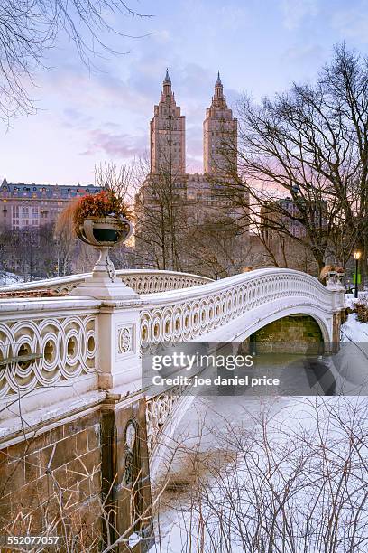 central park in the snow, new york city, america - central park snow stock pictures, royalty-free photos & images