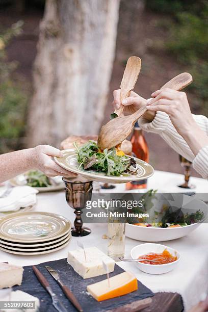 a woman serving salad on to a plate. - utensile di portata foto e immagini stock