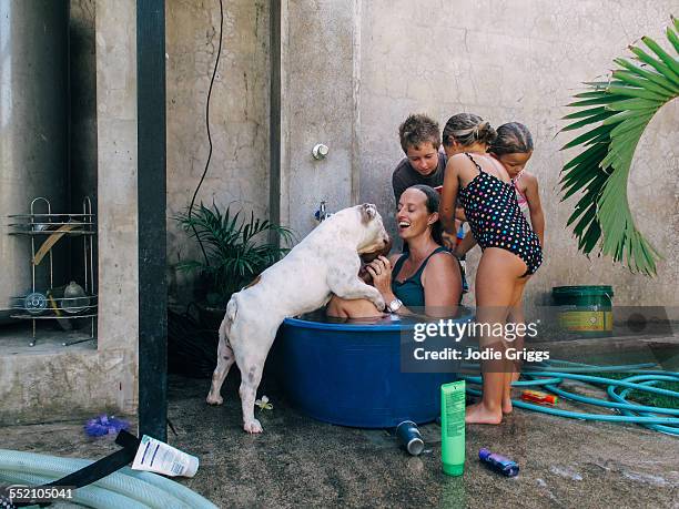 children helping woman bathe in plastic tub - family children dog stock pictures, royalty-free photos & images