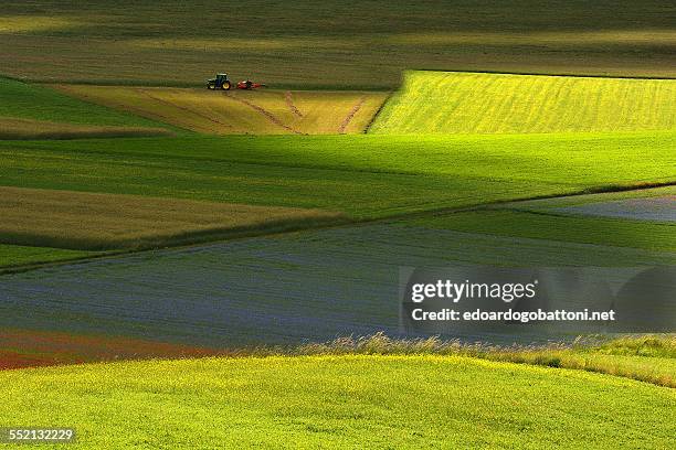 between shadows and light 2 - edoardogobattoni stock pictures, royalty-free photos & images