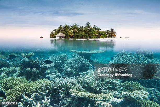 maldives half water - malediven stockfoto's en -beelden