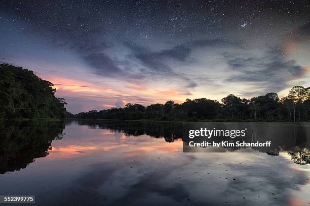 2,904 Amazon Rainforest Peru Stock Photos, High-Res Pictures, and