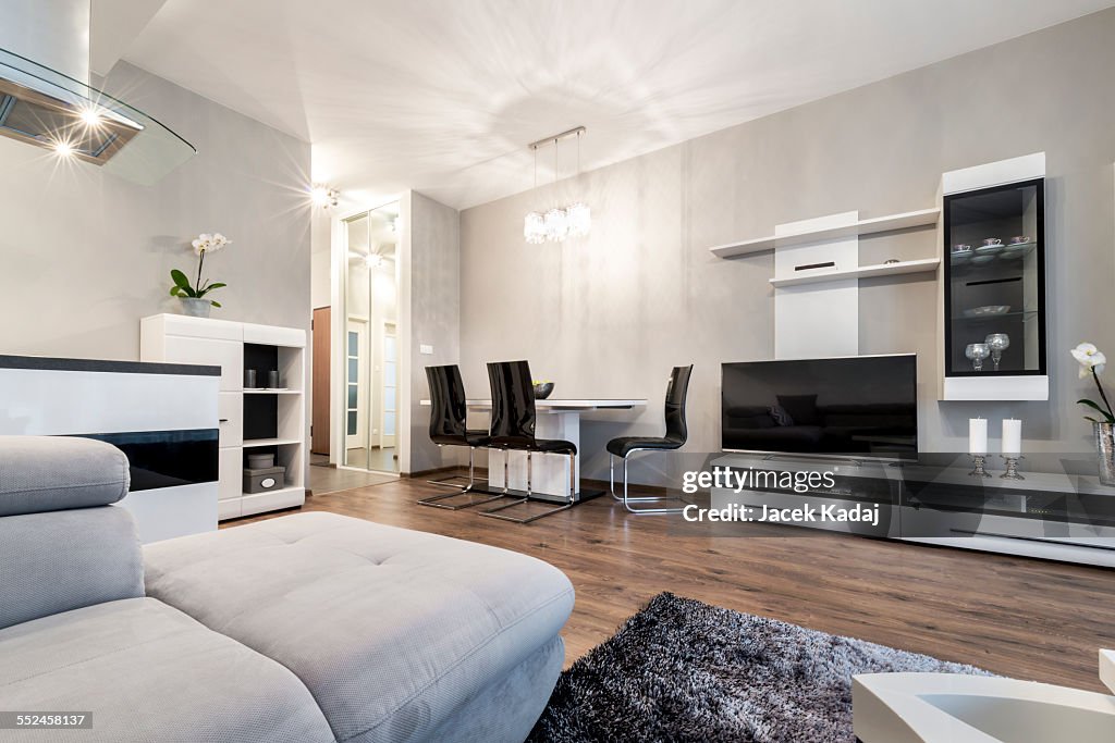 Modern living room in black and white style