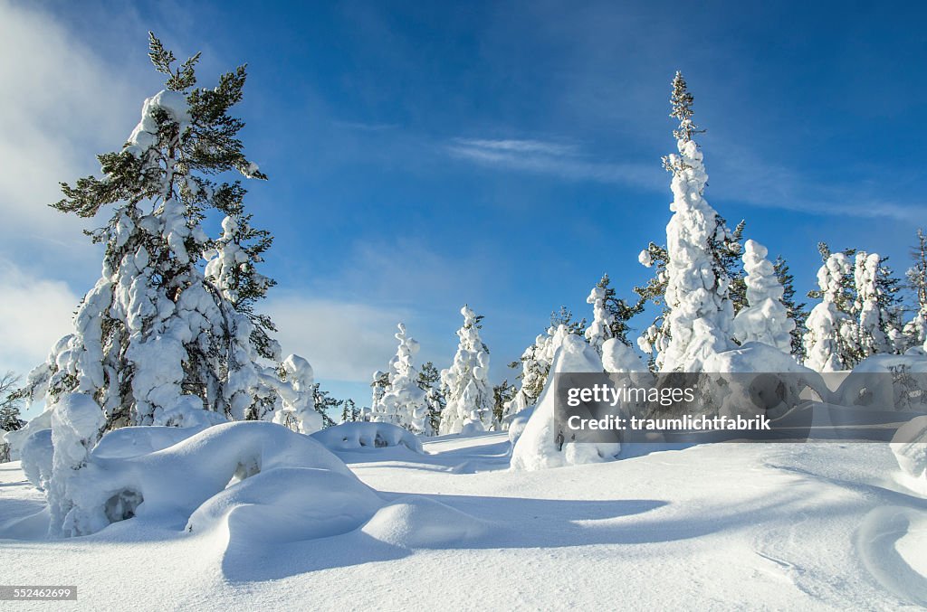 Finland solitude