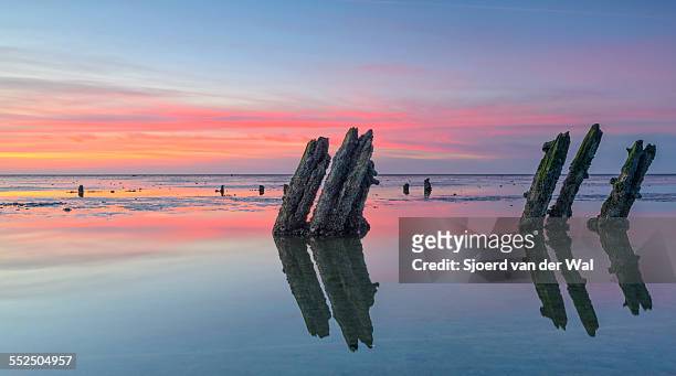 sunset over the waddensea - sjoerd van der wal stock pictures, royalty-free photos & images