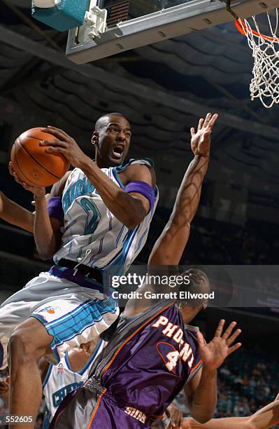 Forward Stacey Augmon of the Charlotte Hornets shoots over forward Alton Ford of the Phoenix Suns during the NBA game at the Charlotte Colesium in...