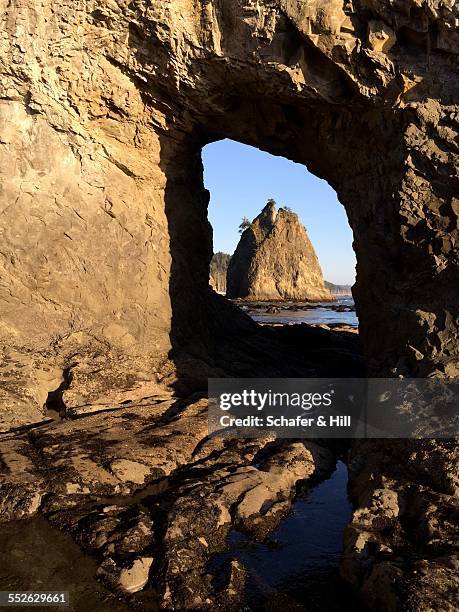 go find your national park - rialto beach stock pictures, royalty-free photos & images