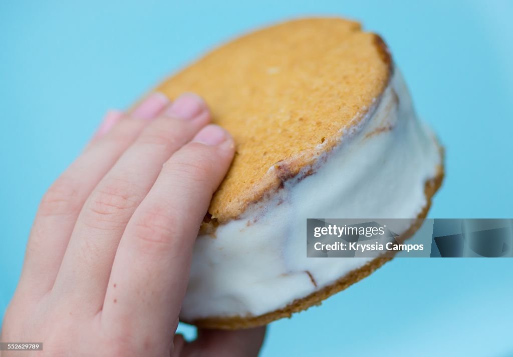 Ice Cream Sandwich