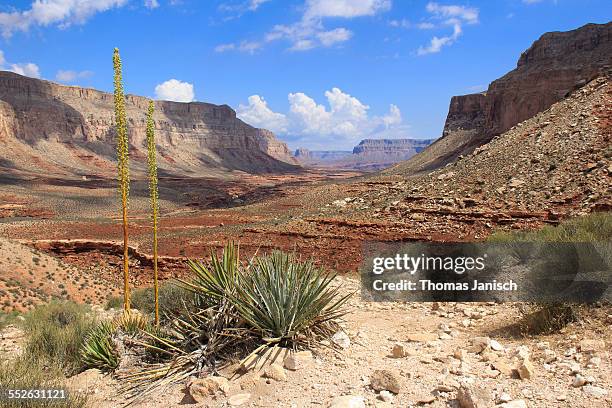 go find your national park - supai stock-fotos und bilder