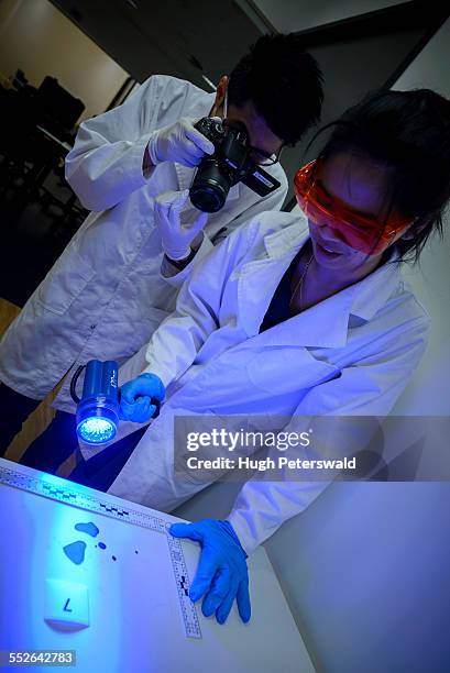 Csi Science 219 Csi Style Stock Photos, High-Res Pictures, and Images - Getty Images