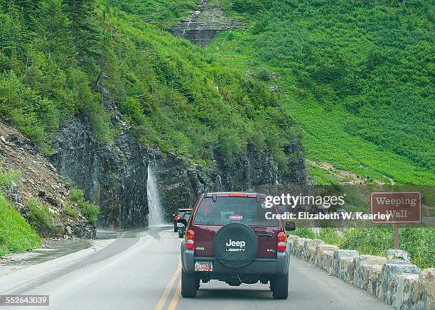 Weeping wall on Going-to-the-sun road in Glacier National Park