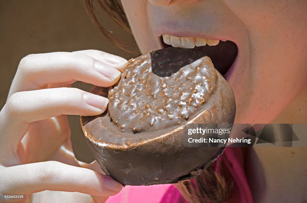 Ice Cream Sandwich