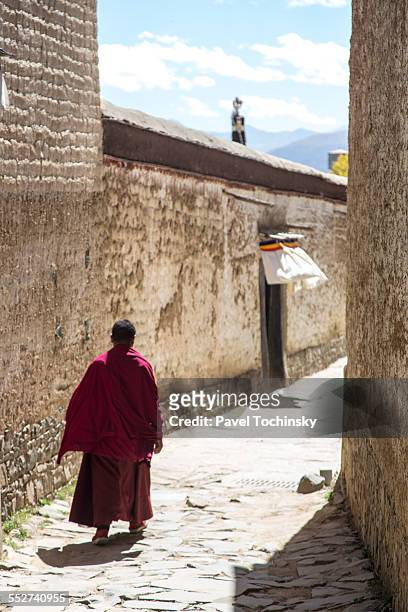 buddhist monk in tashilhunpo monastery - ceremonieel gewaad stockfoto's en -beelden