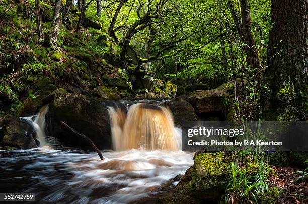 waterfall in padley gorge, derbyshire - peak district national park spring stock pictures, royalty-free photos & images