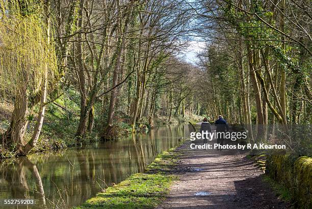 couple walking on the peak forest canal, romiley - 運河 個照片及圖片檔
