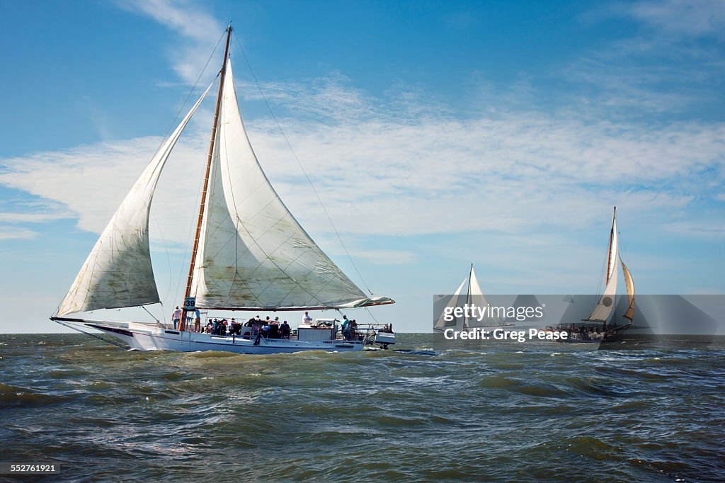 Deal Island Annual Skipjack Race