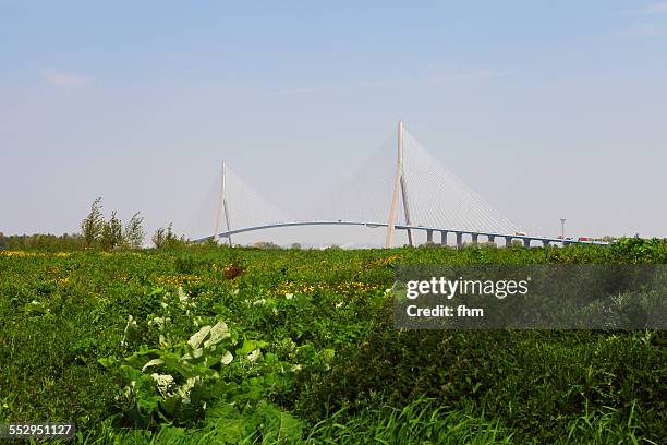 france, "pont de normandie" at seine river - pont de normandie stock pictures, royalty-free photos & images
