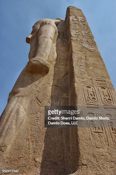 egyptian statue - damlo does imagens e fotografias de stock