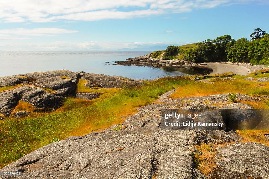 Cattle Point Shoreline